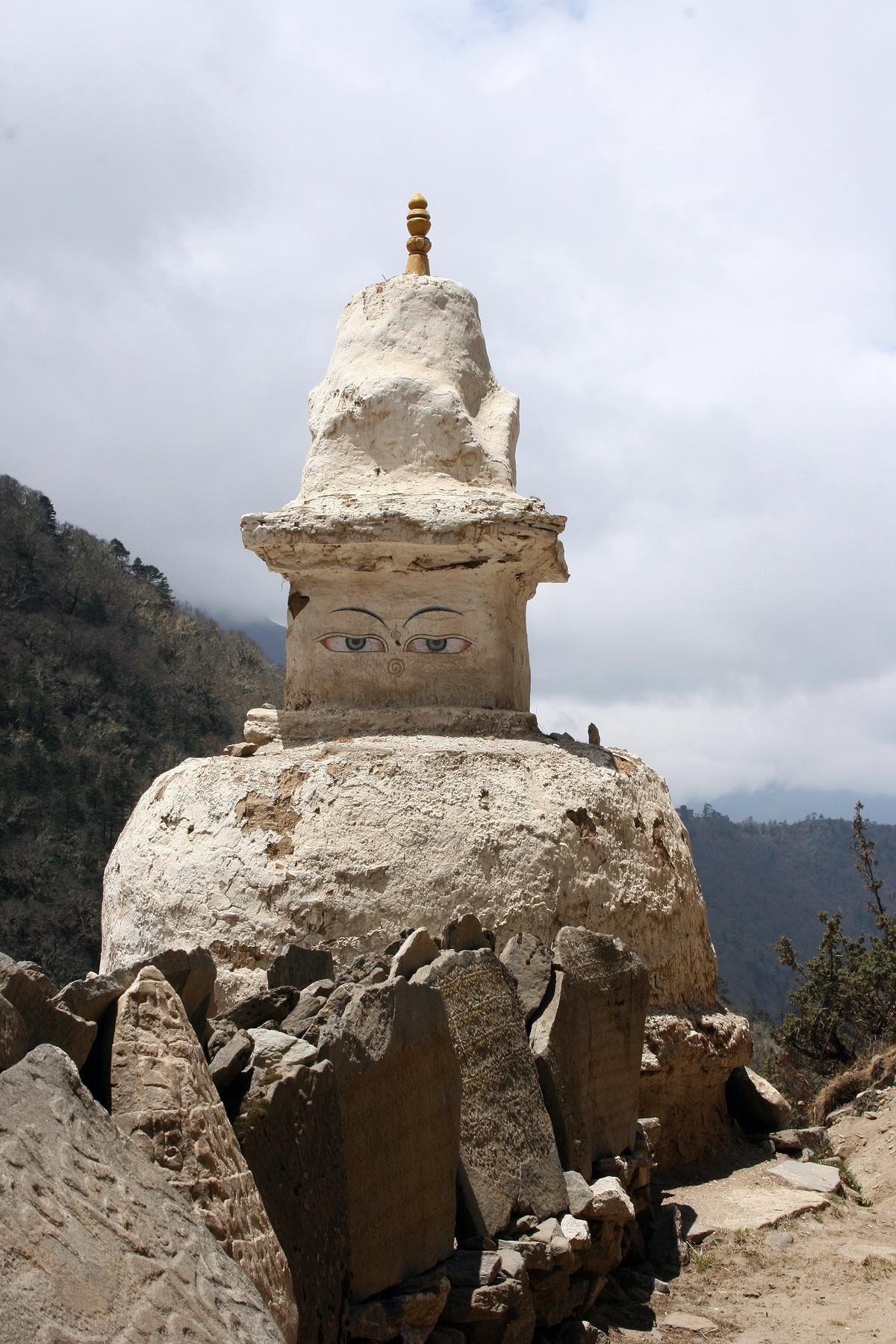 2f69c52934eff4b263e8844de61a23a8_1492069