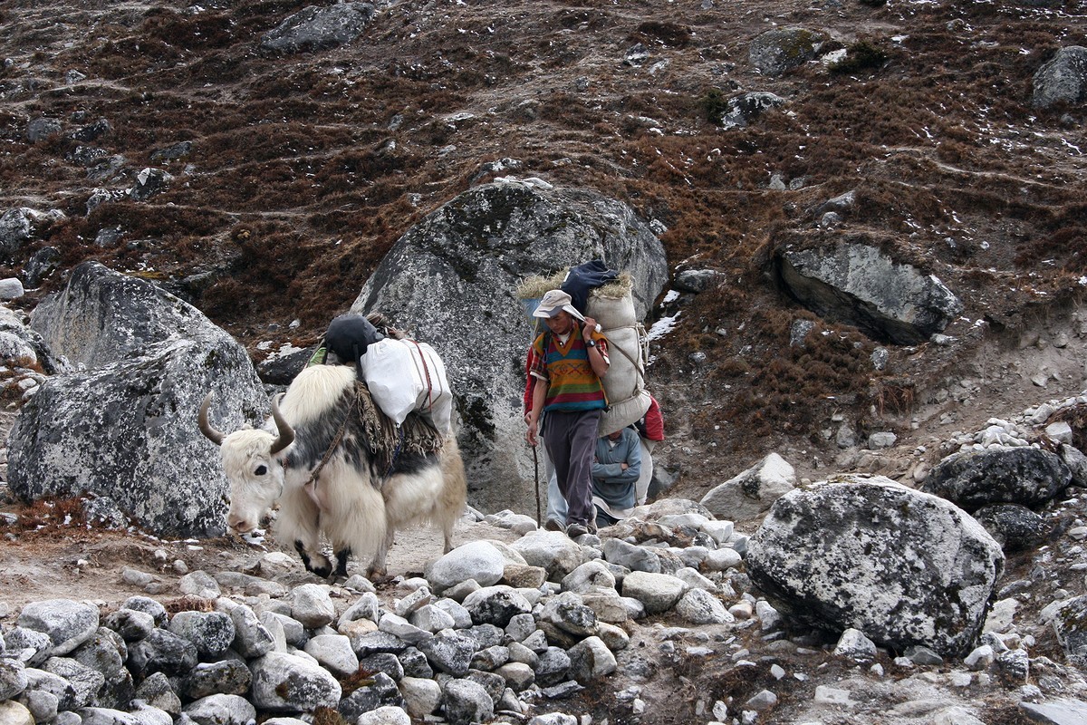 2f69c52934eff4b263e8844de61a23a8_1492069