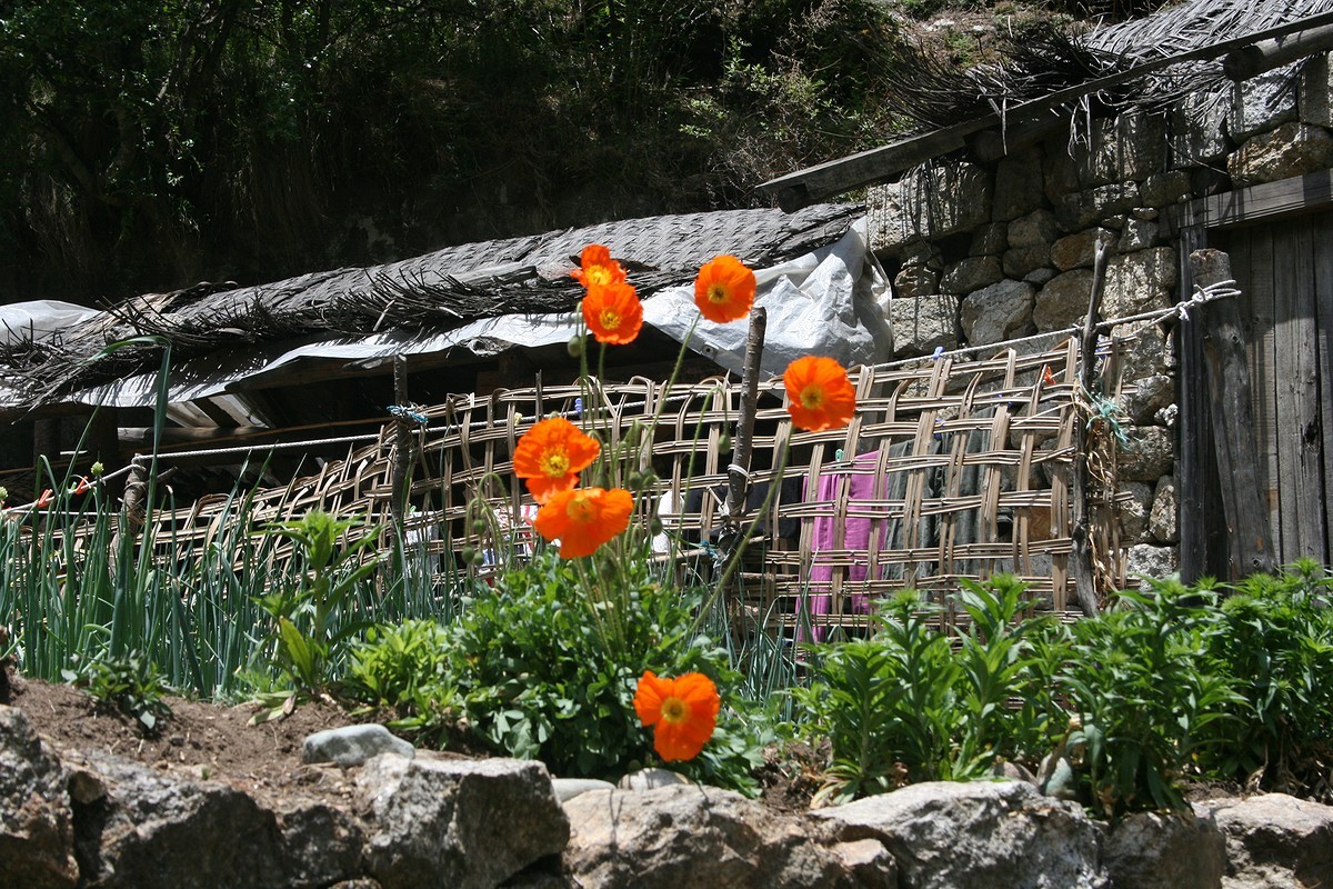 2f69c52934eff4b263e8844de61a23a8_1492069